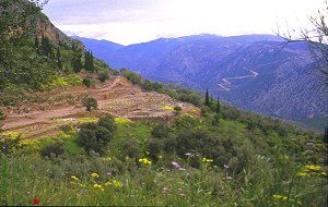 Antikes Delphi